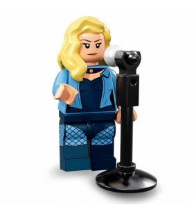 LEGO Batman Movie Seri 2 No:19 71020 Black Canary